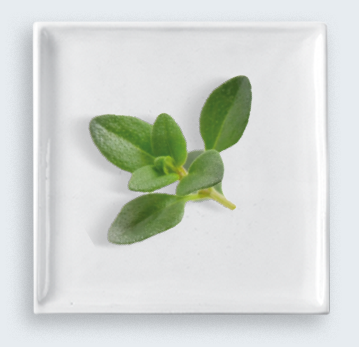 menu-bio
